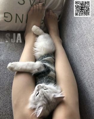 欧美情趣色诱视频69_高清动漫在线观看